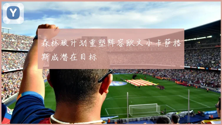 森林狼计划重塑阵容欧文小卡萨格斯成潜在目标
