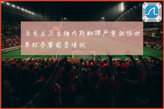 马竞后卫吉梅内斯脚踝严重扭伤世界杯参赛前景堪忧