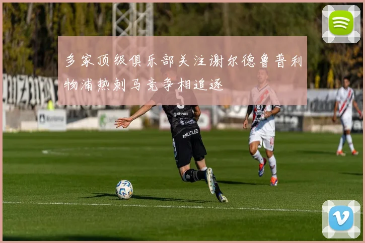 多家顶级俱乐部关注谢尔德鲁普利物浦热刺马竞争相追逐